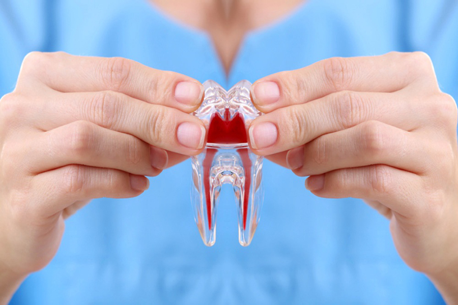 https://www.ino.cl/web/wp-content/uploads/2023/02/Endodontics_palm.jpg